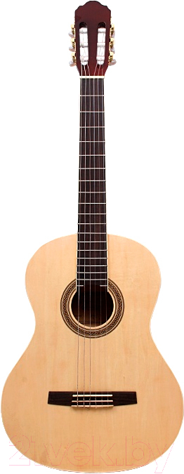 Акустическая гитара Aileen АС 40