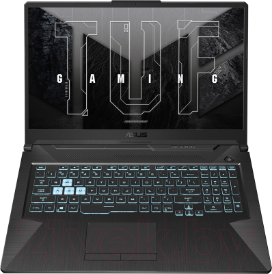 Игровой ноутбук Asus TUF Gaming F17 FX706HE-HX017