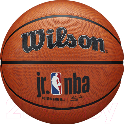 

Баскетбольный мяч Wilson, Authentic Outdoor / WTB9600XB05