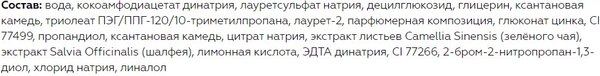 Пенка для умывания Витэкс Black Clean адсорбирующая (200мл)