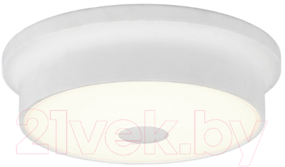 

Светильник Citilux, Фостер-2 CL706210