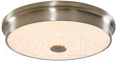 

Потолочный светильник Citilux, Фостер-2 CL706231