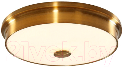 

Потолочный светильник Citilux, Фостер-2 CL706232