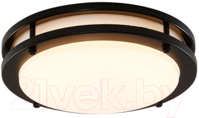 

Светильник Citilux, Бостон CL709155