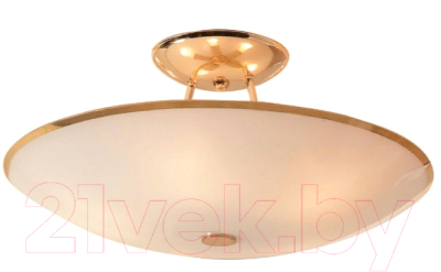 

Потолочный светильник Citilux, Лайн CL911202