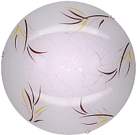 

Светильник Citilux, Ива CL918009