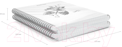 Изображение товара Тетрадь Erich Krause Blossom Black and White / 54118 (80л, клетка)