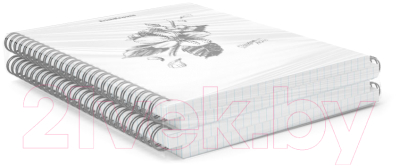Изображение товара Тетрадь Erich Krause Blossom Black and White / 54118 (80л, клетка)