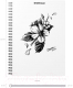 Миниатюра изображения товара Тетрадь Erich Krause Blossom Black and White / 54118 (80л, клетка)