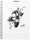 Тетрадь Erich Krause Blossom Black and White / 54118 (80л, клетка) - 