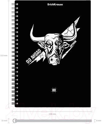 Тетрадь Erich Krause Go Аhead Black and White / 54121 (80л, клетка)