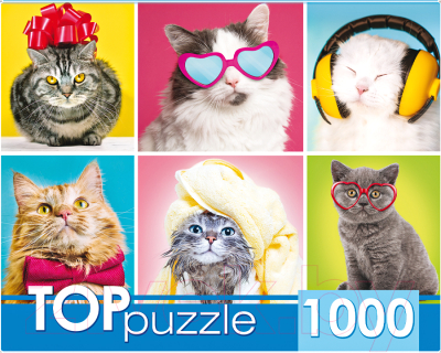 

Пазл Top Puzzle, Смешные котята / ГИТП1000-4138