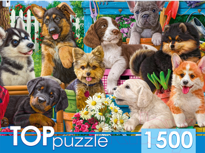 

Пазл Top Puzzle, Компания щенков в саду / ХТП1500-1588