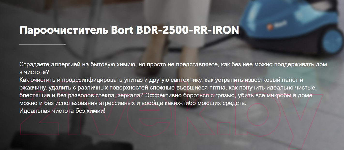 Bort BDR-2500-RR-Iron 93410075 Пароочиститель купить в Минске, Гомеле,  Витебске, Могилеве, Бресте, Гродно