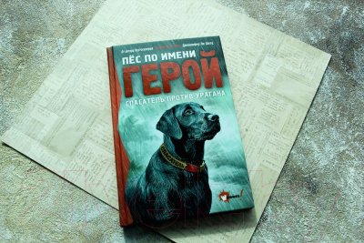 Изображение товара Книга АСТ Пес по имени Герой. Спасатель против урагана (Шотц Д.)