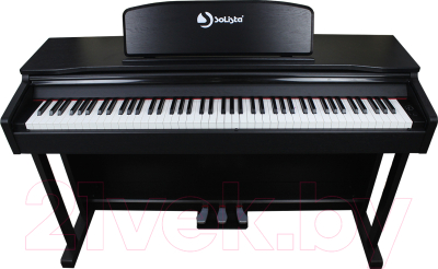Цифровое фортепиано Solista DP801BK