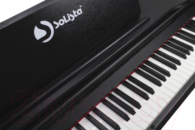Цифровое фортепиано Solista DP801BK