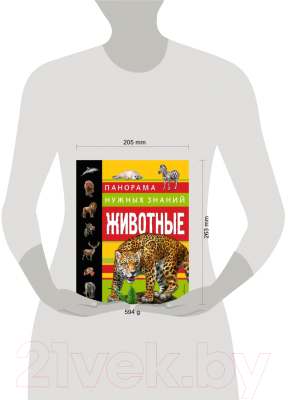 Изображение товара Энциклопедия Эксмо Животные. Панорама нужных знаний (Школьник Ю.)