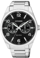 

Часы наручные мужские Citizen, AO9020-50E