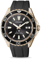 Часы наручные мужские Citizen BN0193-17E - 