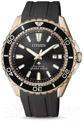 Часы наручные мужские Citizen BN0193-17E