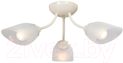 

Люстра Vitaluce, V3405/3PL