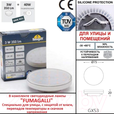 Светильник уличный Fumagalli Leti 3S1.000.000.AYG1L