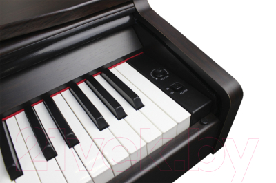 Цифровое фортепиано Solista DP801R