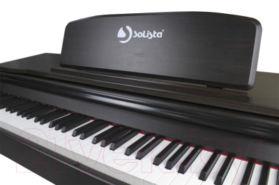 Цифровое фортепиано Solista DP801R