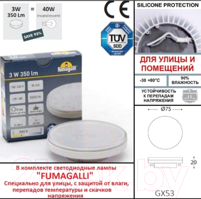 Светильник уличный Fumagalli Leti 2C1.000.000.LYG1L