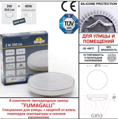 Светильник уличный Fumagalli Leti 3C3.000.000.LYG1L