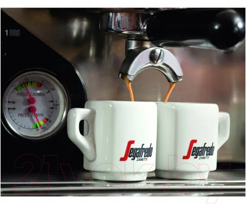 Кофе в зернах Segafredo Zanetti Speciale Espresso / 200.002.054