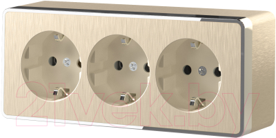 Розетка Werkel Gallant W5073110 / a052594 (шампань рифленый)