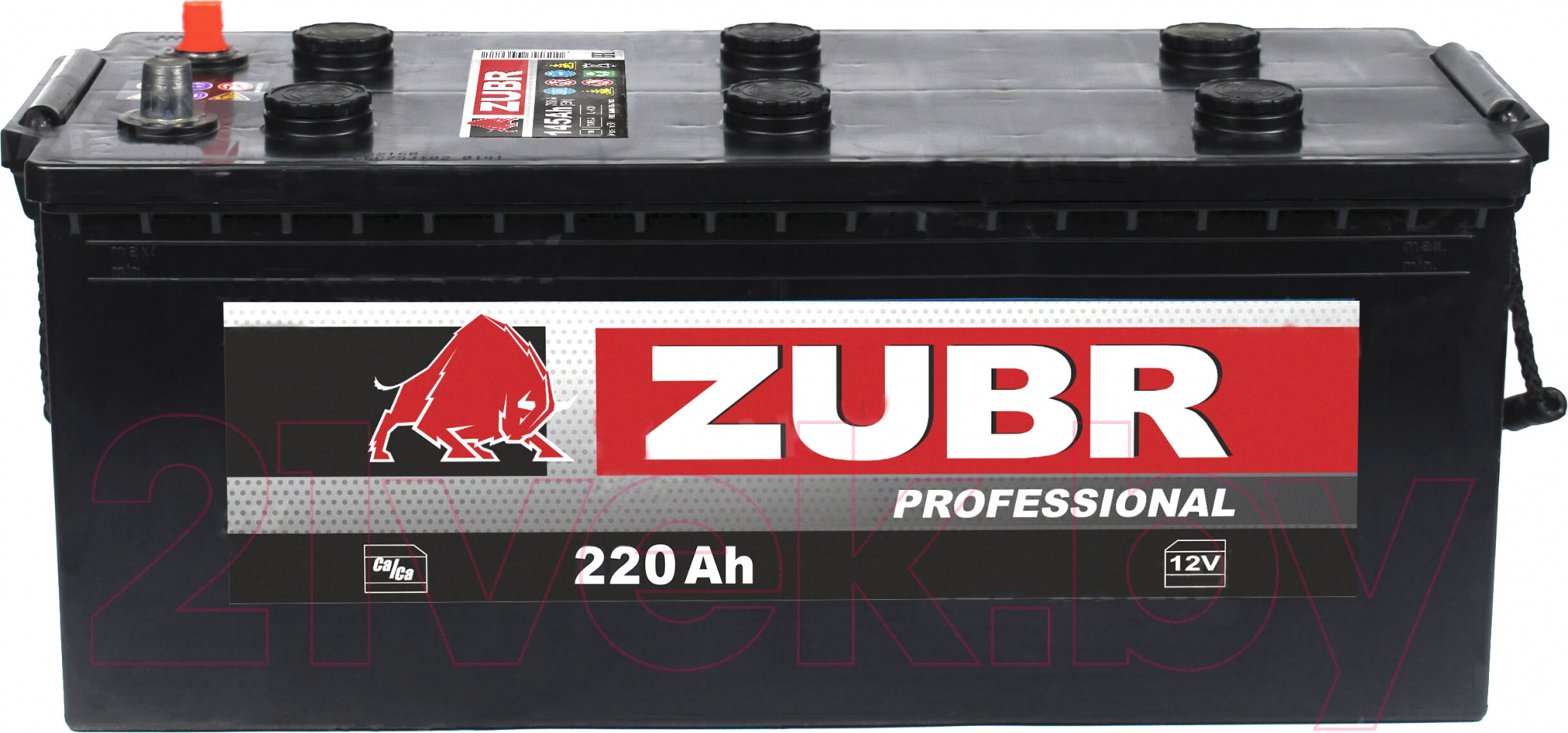 Автомобильный аккумулятор Zubr Professional болт R+
