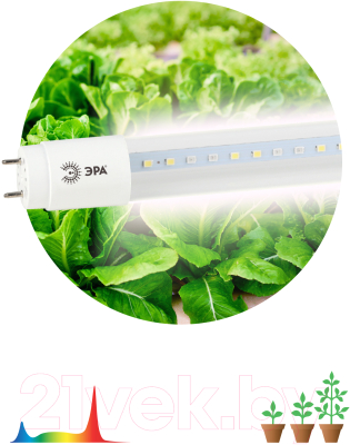 Светильник для растений ЭРА FITO-9W-Ra90-Т8-G13-NL / Б0042988