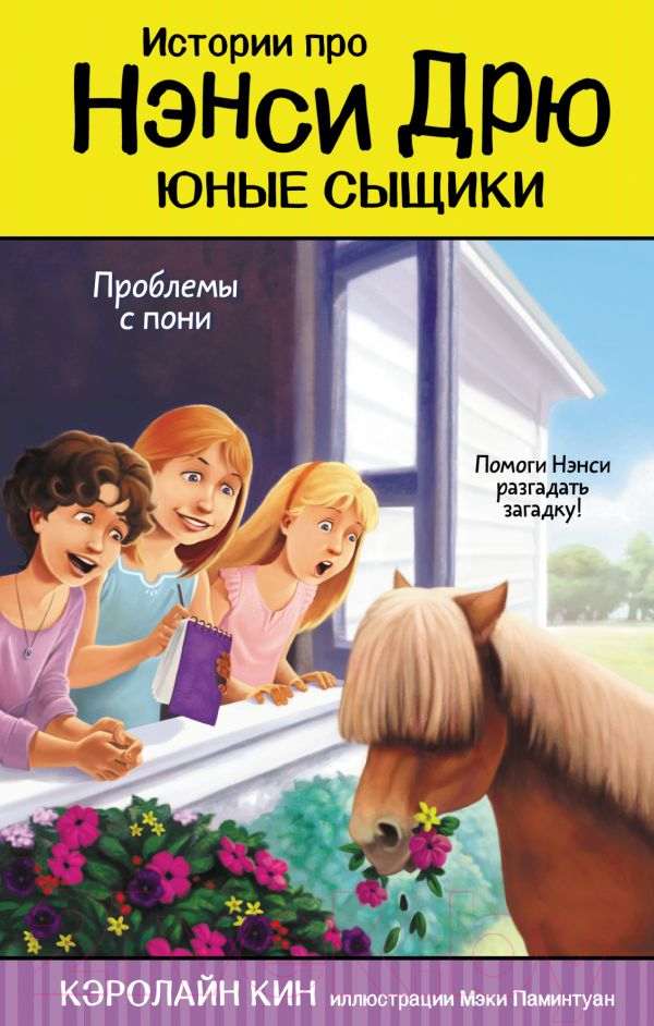 Художественная книга АСТ Проблемы с пони (Кин К.)