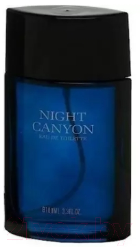 Туалетная вода Real Time Night Canyon Men (100мл)