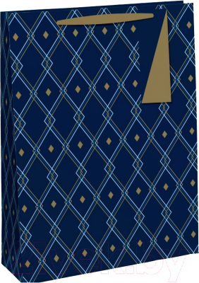 

Пакет подарочный Rhodia, Geometric Male / 28590-4C
