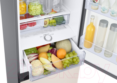 Холодильник с морозильником Samsung RB38A6B6F39/WT
