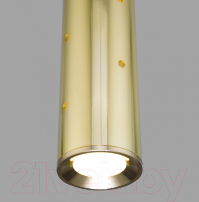 Потолочный светильник Elektrostandard 50214/1 LED (золото)