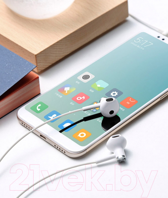 Наушники-гарнитура Xiaomi Dual Driver Earphones / ZBW4406TY (белый)