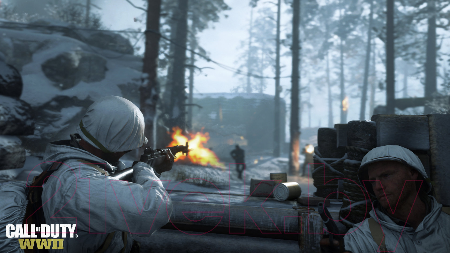 Игра для игровой консоли PlayStation 4 Call of Duty: WWII — фото 2