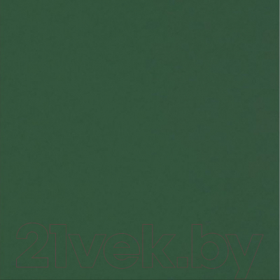 

Фон бумажный FST, Зеленый, 1006 Dark Green / ут-00000225