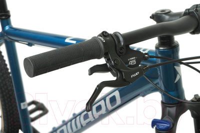 Велосипед Forward Buran 29 2.0 Disc 2021 / RBKW1M399002 (19, синий/серебристый)