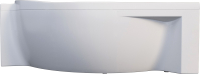 

Экран для ванны, Ergonomika 158-175x110 L