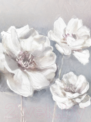 Картина Orlix Белые цветы / CA-13063