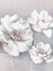 Картина Orlix Белые цветы / CA-13063 - 