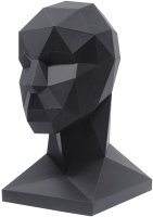 Объемная модель Paperraz Голова для аксессуаров / PP-2HED-WHT - 