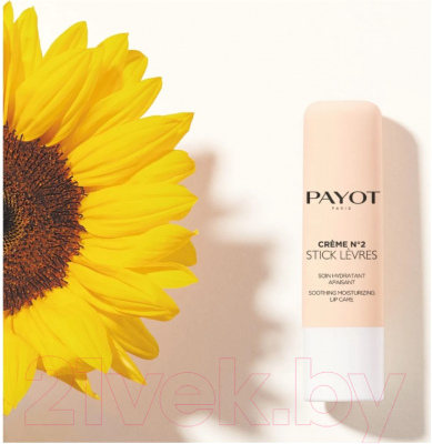 Бальзам для губ Payot Creme N°2 Stick Levres (4г)