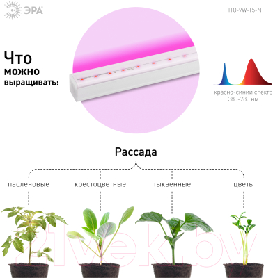 Светильник для растений ЭРА FITO-9W-Т5-N / Б0045231